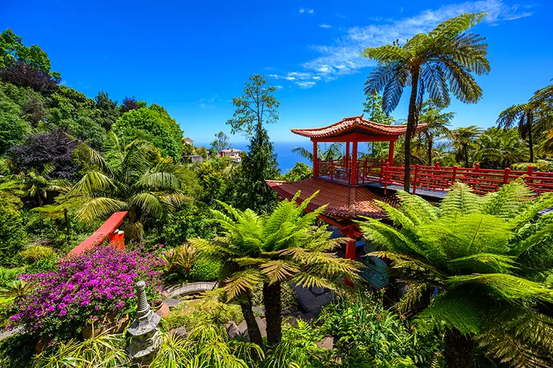 Travelers experiencing authentic Madeira adventures